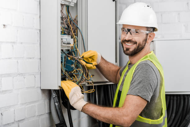 Best Electric Panel Repair  in Carney, MD